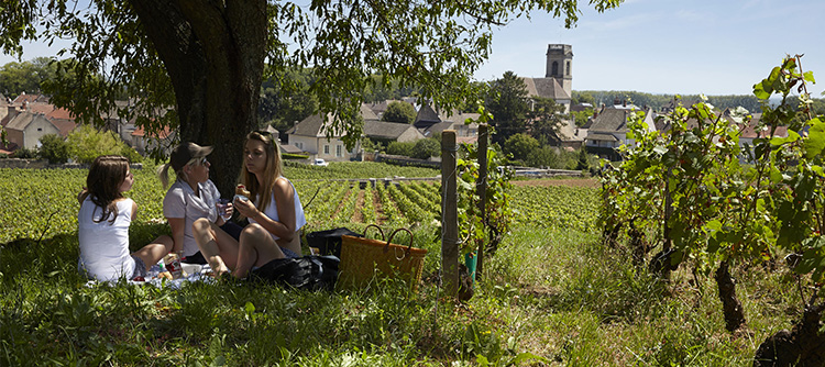 Bourgogne Wines helping you plan your vacation