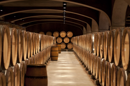 barrels cellar in Bourgogne