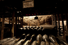 cellar of old Bourgogne vintages