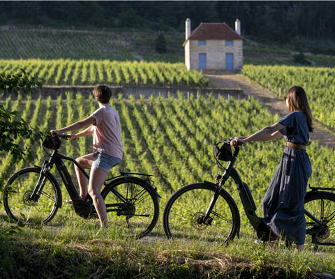 Visites en Bourgogne