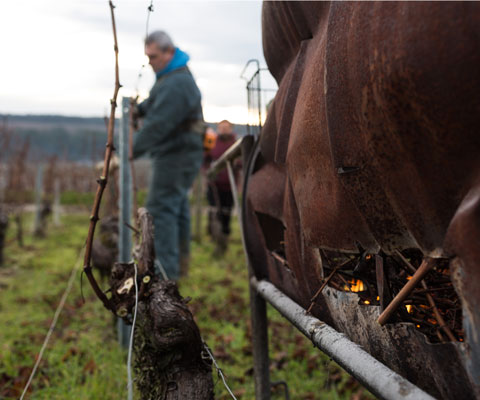 Vin rouge Bourgogne Puligny Montrachet 1er cru - Audin'Shopping