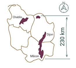 © BIVB / DR Location of the Burgundy vineyard in France
