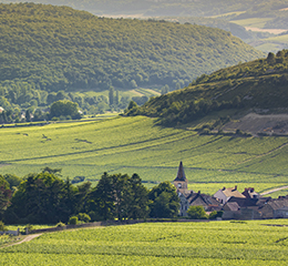 © BIVB / IBANEZ A.The Burgundy region opens its doors to you