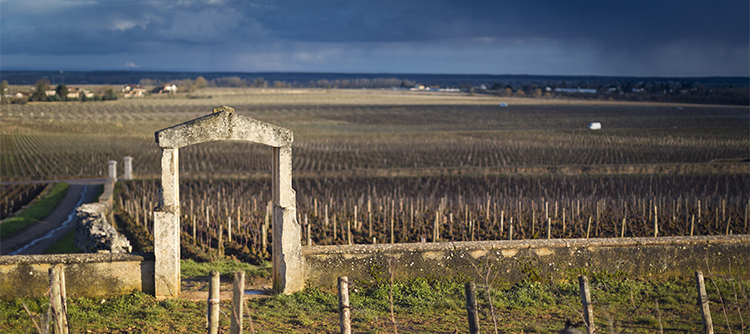 Puligny-Montrachet - porte de clos en Bourgogne