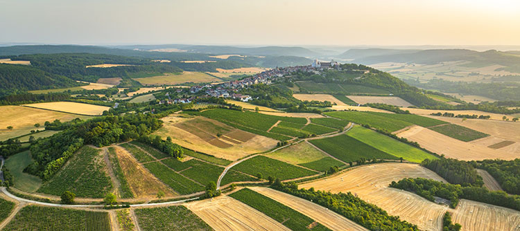 Vignoble dans le Grand Auxerrois : Vézelay - © BIVB / Aurélien Ibanez