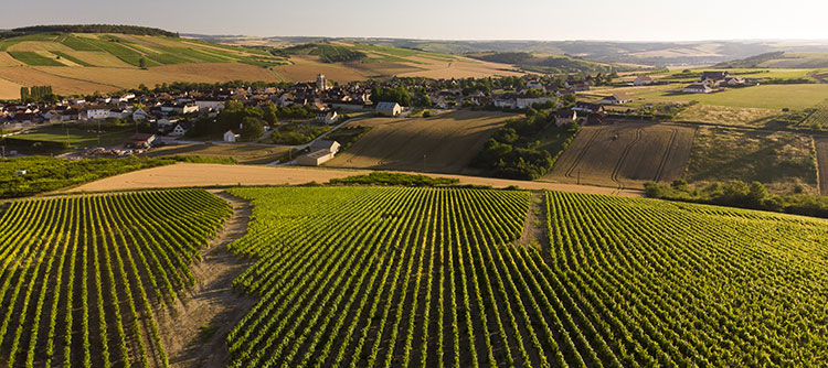 Village in the Auxerrois vineyard : Saint-Bris