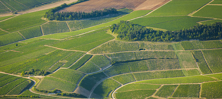 Climat en Grand Cru 