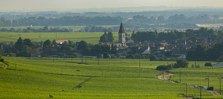 Village of Nuits-Saint-Georges - © BIVB / Aurélien Ibanez