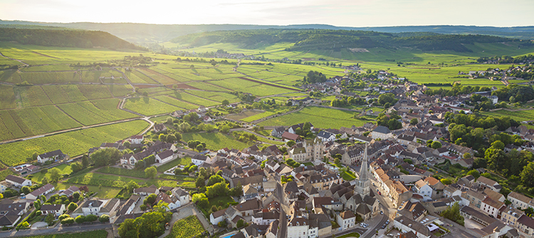 Vignoble de Meursault en Bourgogne - © BIVB / Aurélien Ibanez