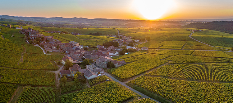 Fuissé - © BIVB / Michel Joly