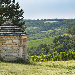 Cabotte in the winegrowing region of Chatillonnais - © BIVB / Aurélien Ibanez