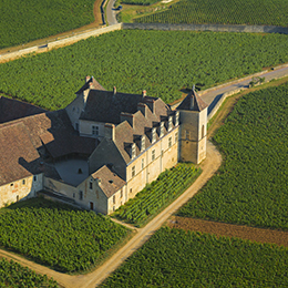 Landscape in the Côte de Nuits : Clos de Vougeot - © BIVB / Aurélien Ibanez