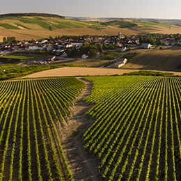 Vue sur le village de Saint-Bris, dans l'Auxerrois - © BIVB / Sébastien Boulard