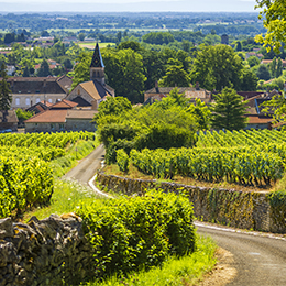 Landscape in the vineyard of the Mâconnais - © BIVB / Aurélien Ibanez
