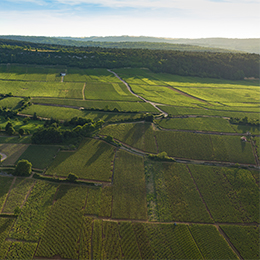 Landscape in the region of the Côte de Nuits - © BIVB / Aurélien Ibanez