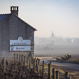The vineyard of Beaune - © BIVB / Aurélien Ibanez