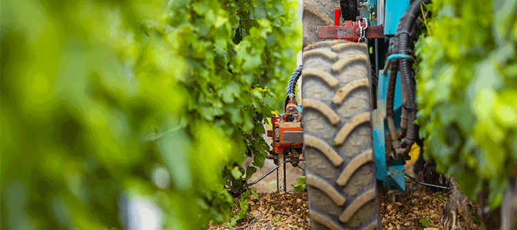 © BIVB / Aurélien Ibanez -  Aerating the soil