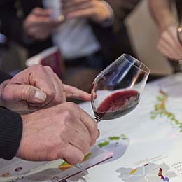 © BIVB / Image & associés - Visual inspection of Burgundy wine