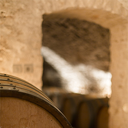 Barrels cellar in Bourgogne
