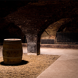 barrels in the cellars of Bourgogne