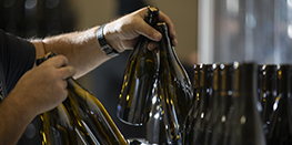 You are looking for a Wine producer