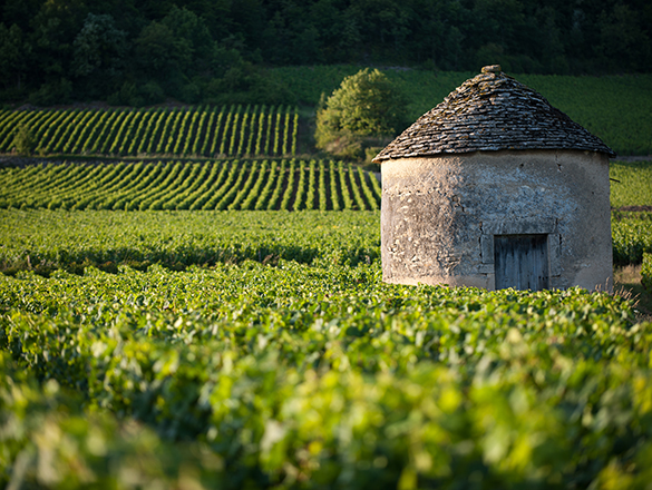 Bourgogne