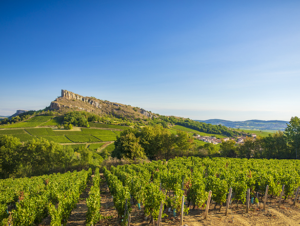 Mâcon-Solutré-Pouilly