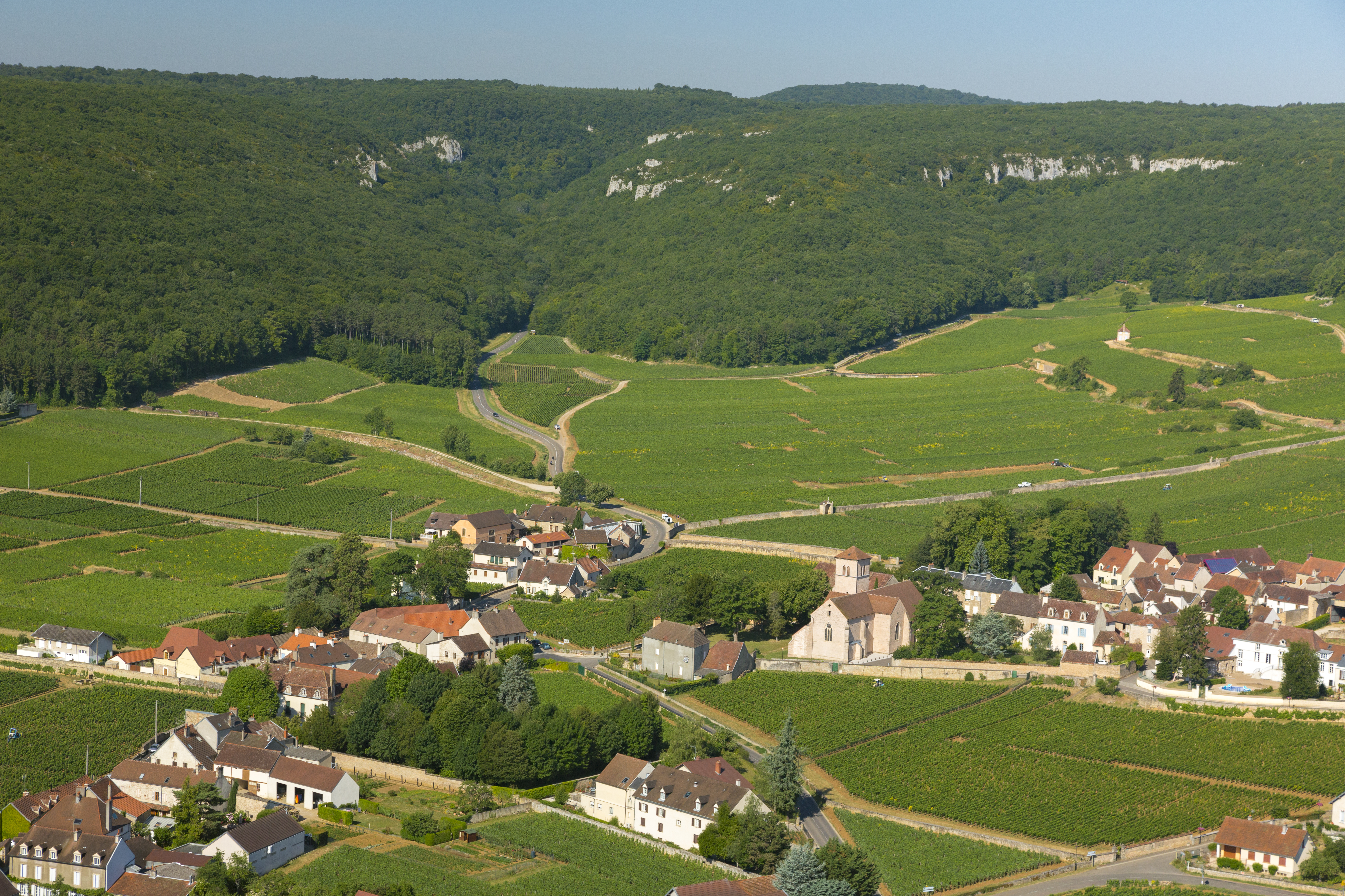 Gevrey-Chambertin