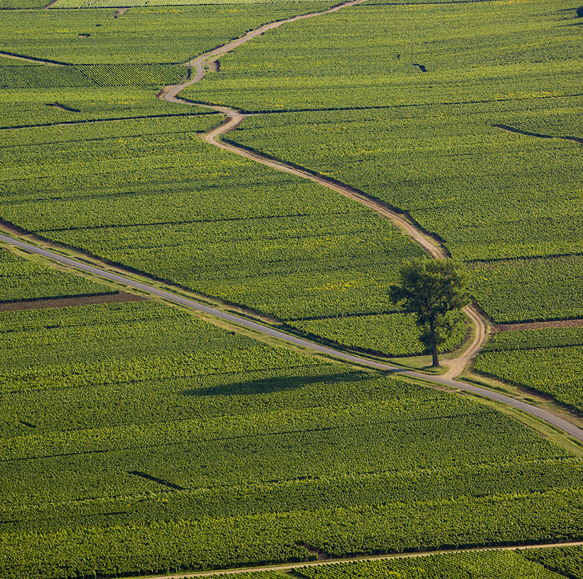 Bourgogne vue du ciel