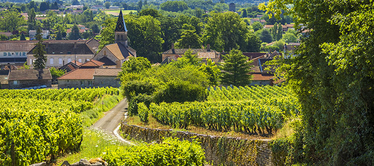 Viré-Clessé, terroir d'audace en Bourgogne du Sud