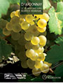 Poster - Cépage Chardonnay