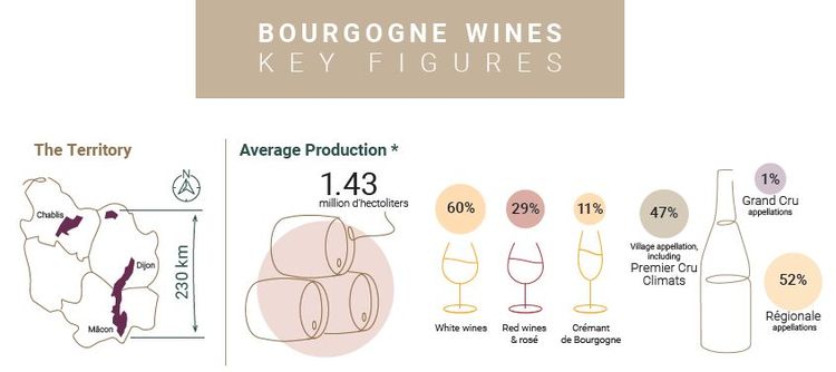 Bourgogne wines are the most exported in France