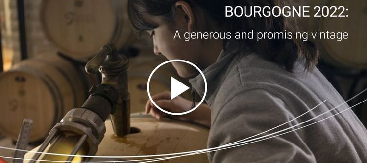 Watch our video dedicated to Bourgogne wines