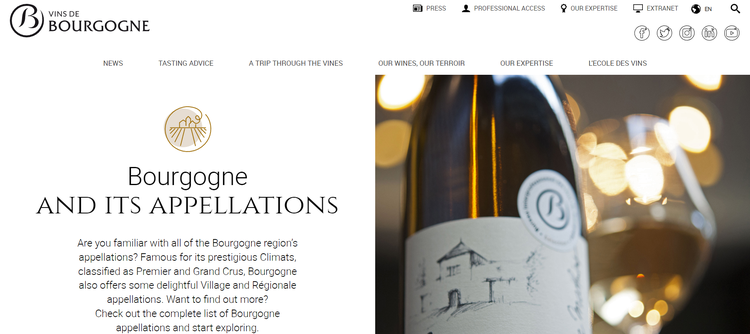 A new website targeting millennials:  bourgogne-wines.com