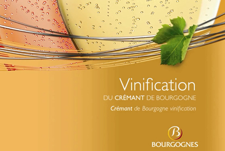 Vinification of Crémant de Bourgogne