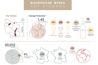  Key figures for the Bourgogne winegrowing region