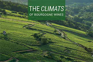 The Climats of Bourgogne wines