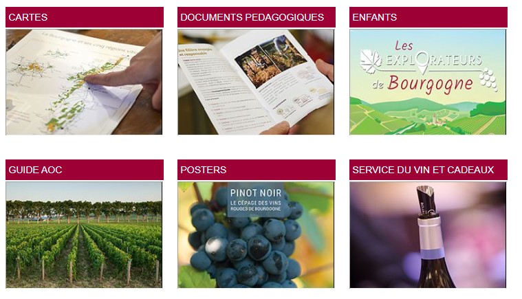 Access the online shop