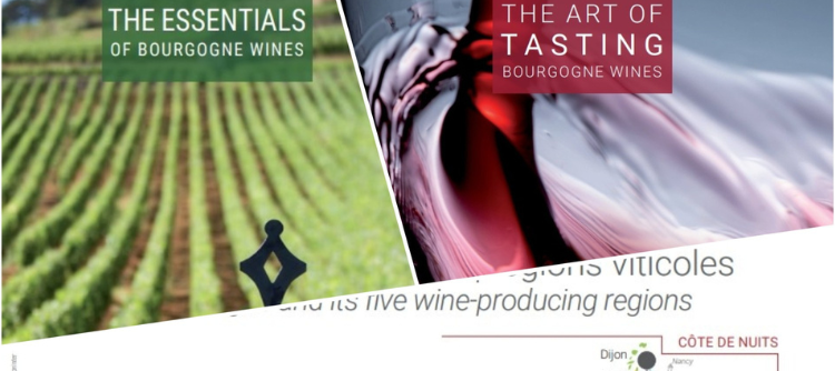 Access the Bourgogne Wines download area