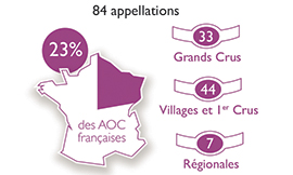 © BIVB / Droits réservés - 84 AOC en Bourgogne