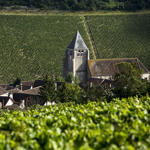 © BIVB / Aurélien Ibanez view of Chablis