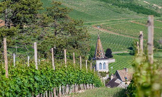 © BIVB / Michel Joly -  Village of the Hautes-Côtes de Nuits : Chevannes