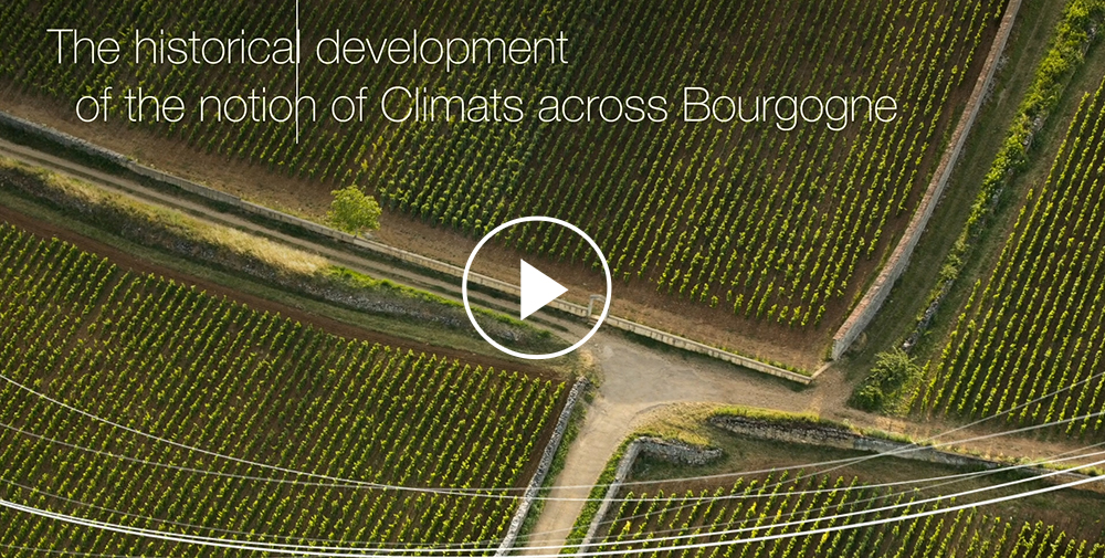 © BIVB – “The historical development of the notion of Climats across Bourgogne