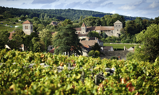 © BIVB / Michel Joly - Gevrey-Chambertin