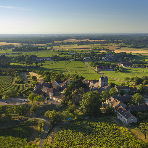 © BIVB / Aurélien Ibanez