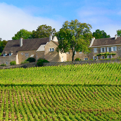 © Domaine du Cellier aux Moines