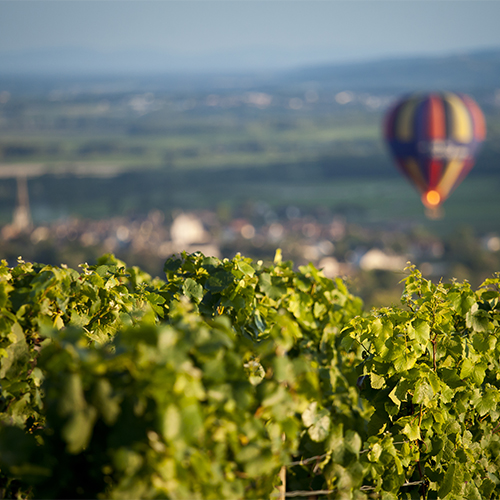 © BIVB / Aurélien Ibanez