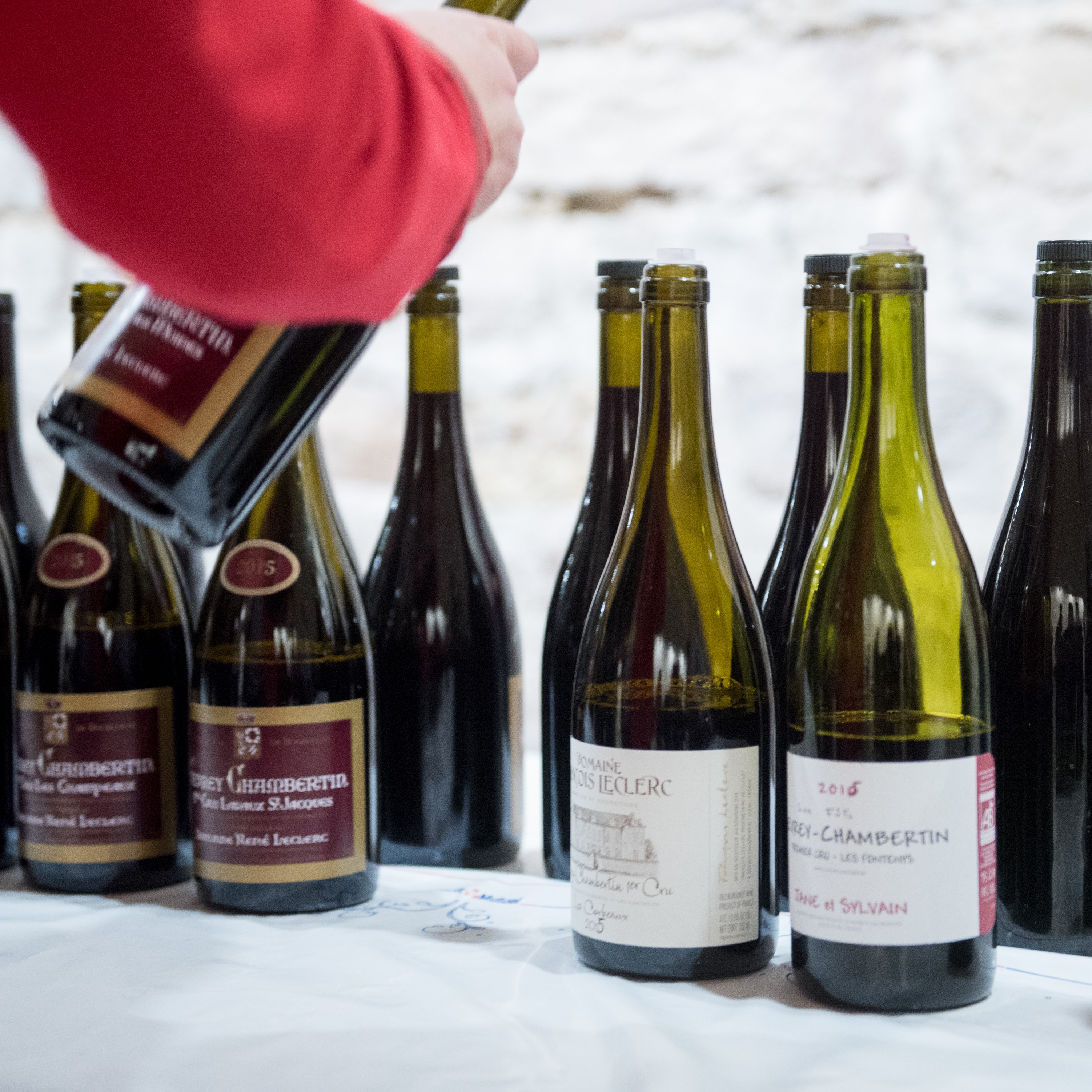 © Studio Morfaux / ODG  Gevrey-Chambertin