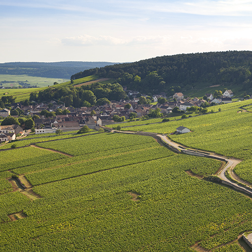 © BIVB / Aurélien Ibanez