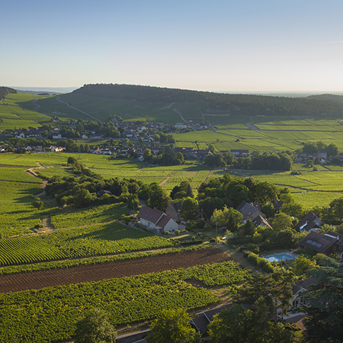 © BIVB / Aurélien Ibanez